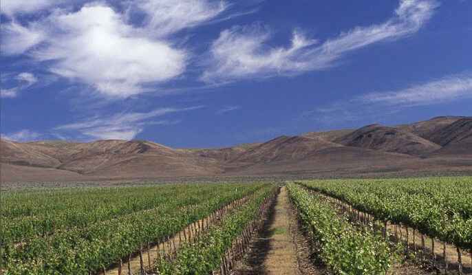 Desert Wind Winery Scenic Shot