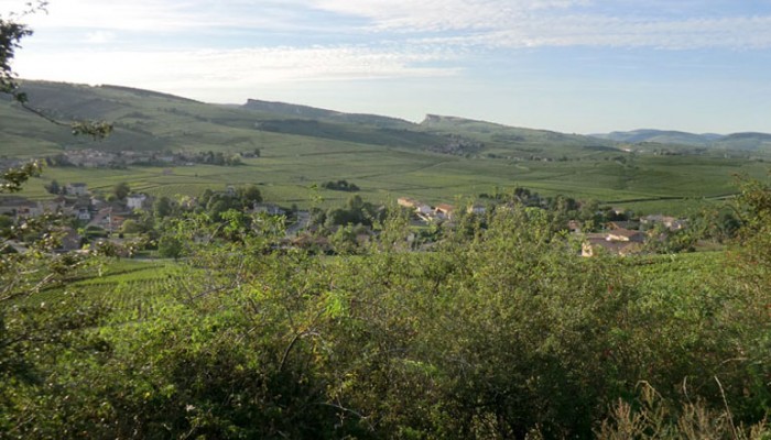 thibert-valley