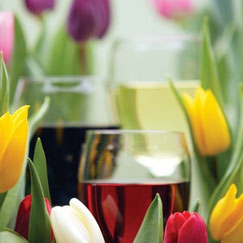 Spring-Wine copy