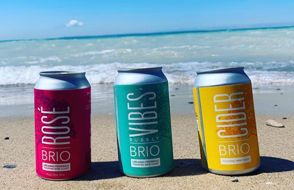 BRIO-Cans-Beach