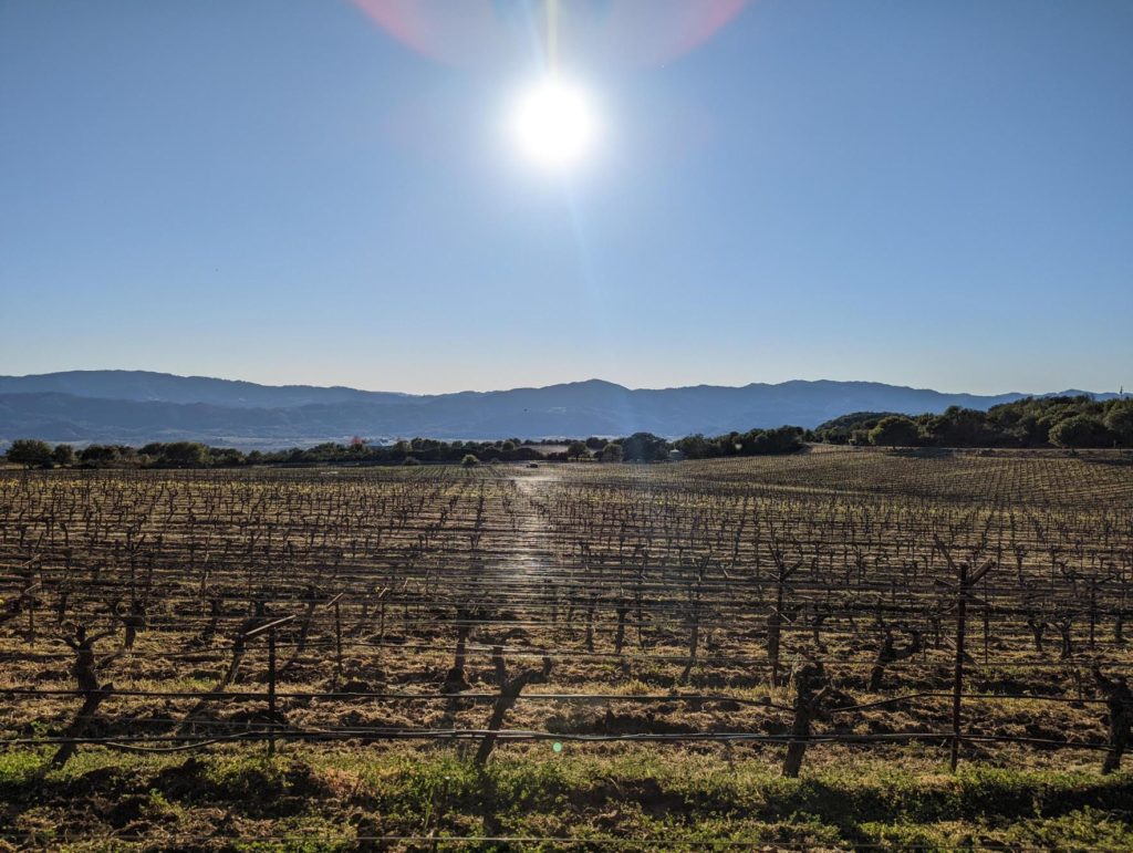 Napa Valley, California Vineyards