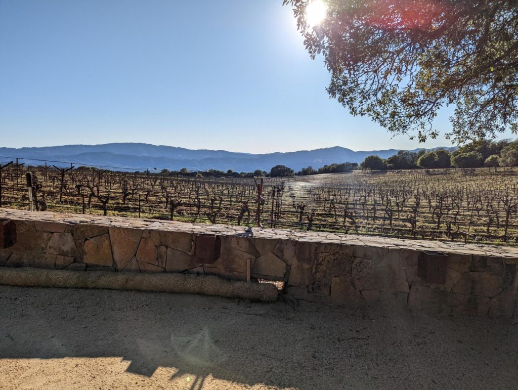 Napa Valley, California Vineyards